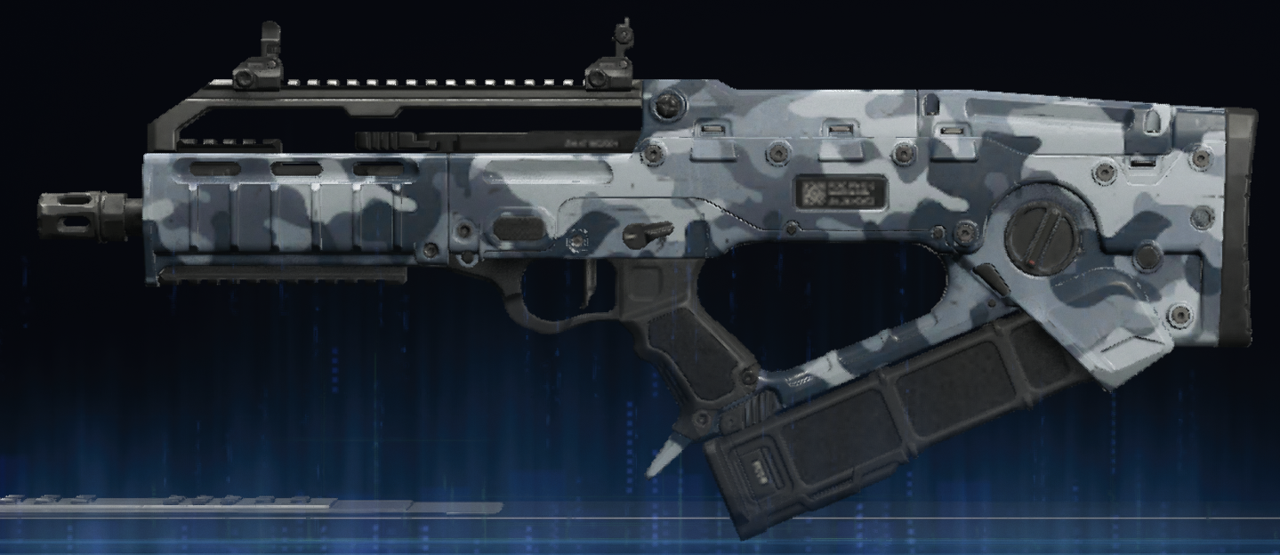 Rendu du camouflage Arctique sur VX Compact